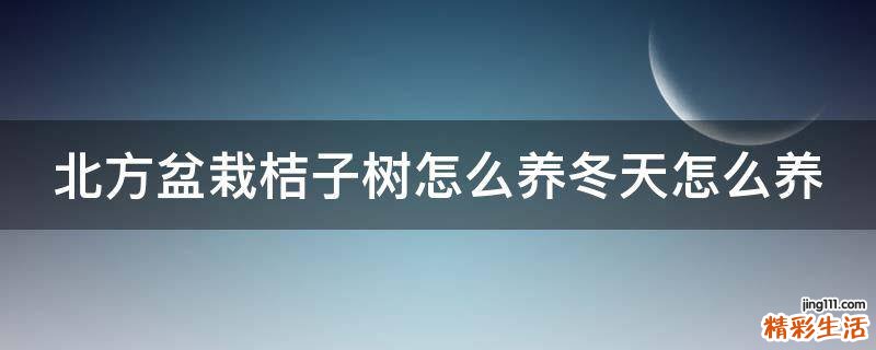 北方盆栽桔子树怎么养冬天怎么养