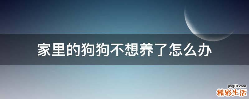 家里的狗狗不想养了怎么办