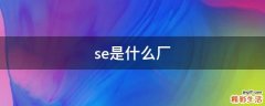 se是什么厂