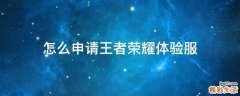 怎么申请王者荣耀体验服