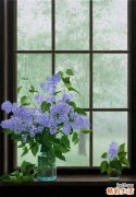 中医治疗阴茎痰核
