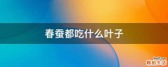 春蚕都吃什么叶子