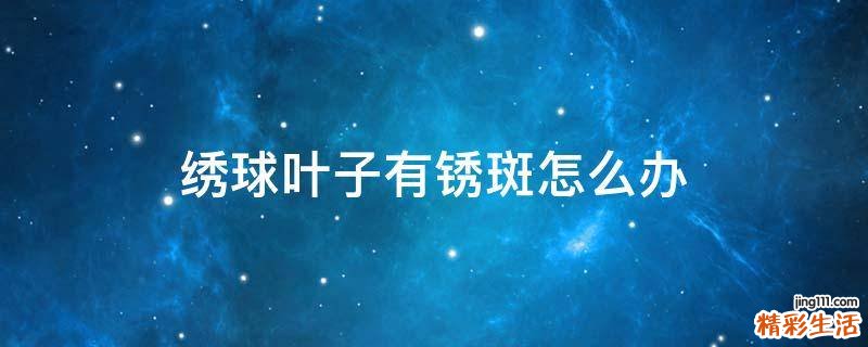 绣球叶子有锈斑怎么办