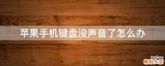 苹果手机键盘没声音了怎么办