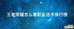 王者荣耀怎么看职业选手排行榜