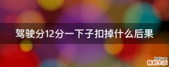驾驶分12分一下子扣掉什么后果