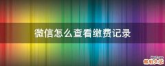 微信怎么查看缴费记录