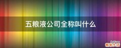 五粮液公司全称叫什么