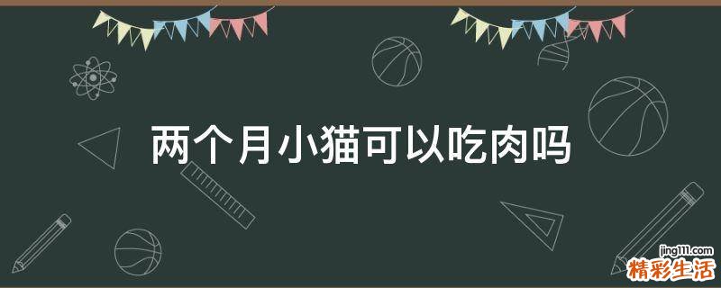 两个月小猫可以吃肉吗