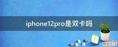 iphone12pro是双卡吗