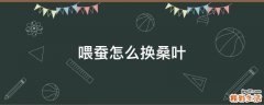 喂蚕怎么换桑叶