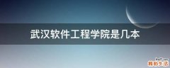 武汉软件工程学院是几本