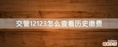 交管12123怎么查看历史缴费