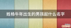 姓杨牛年出生的男孩起什么名字