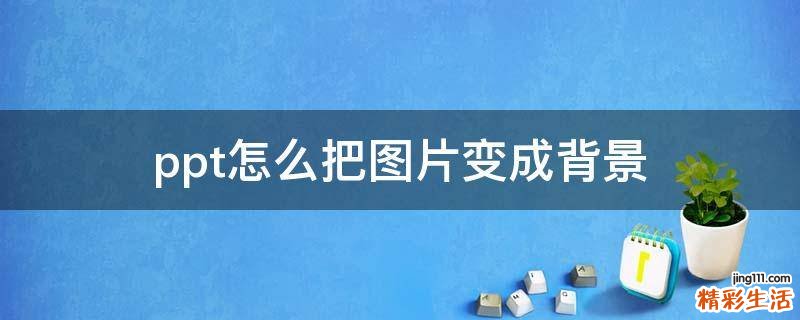 ppt怎么把图片变成背景