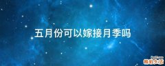 五月份可以嫁接月季吗