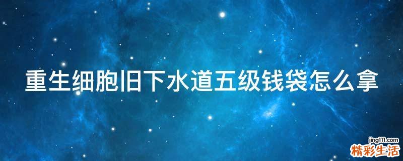 重生细胞旧下水道五级钱袋怎么拿