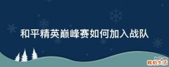 和平精英巅峰赛如何加入战队