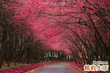 每天做五件小事提升心情