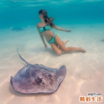 老人饮食要注意什么