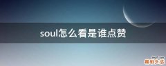 soul怎么看是谁点赞
