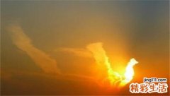 炖肉加什么容易烂