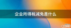 企业所得税减免是什么