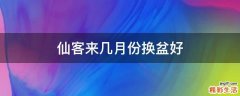 仙客来几月份换盆好
