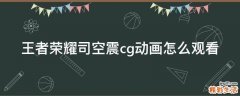 王者荣耀司空震cg动画怎么观看