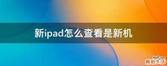 新ipad怎么查看是新机