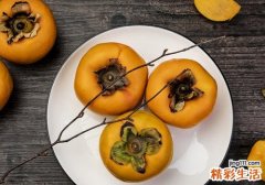吃了柿子可以吃紫菜吗 柿子土豆能一起吃吗