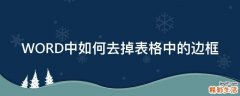 WORD中如何去掉表格中的边框