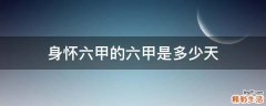 身怀六甲的六甲是多少天