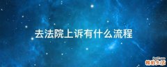 去法院上诉有什么流程