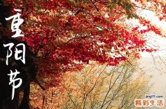 重阳节几月几号