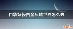 口袋妖怪白金反转世界怎么去