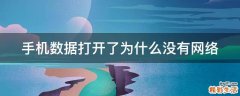手机数据打开了为什么没有网络