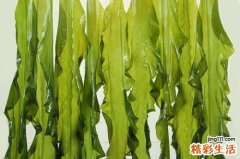 男人吃海带有什么好处 男性经常吃海带会发生这五大变化