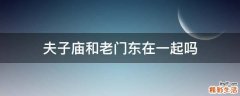 夫子庙和老门东在一起吗