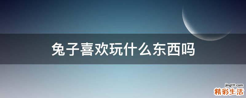 兔子喜欢玩什么东西吗