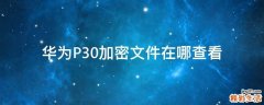 华为P30加密文件在哪查看