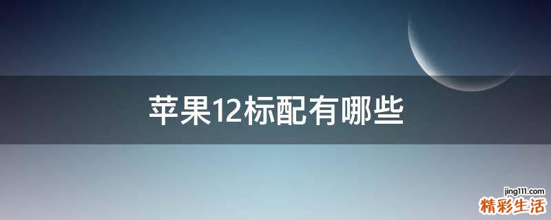 苹果12标配有哪些