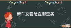 新车交强险在哪里买