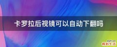 卡罗拉后视镜可以自动下翻吗