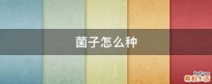 菌子怎么种