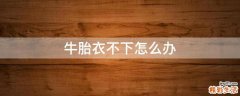 牛胎衣不下怎么办