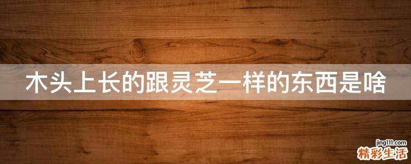 木头上长的跟灵芝一样的东西是啥