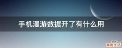 手机漫游数据开了有什么用