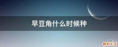 早豆角什么时候种
