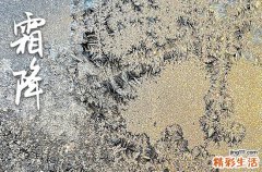 霜降吃什么,霜降吃什么食物